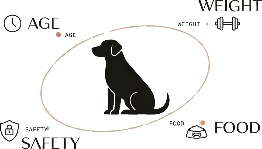 A dog silhouette surrounded by orbital paths labeled Age, Weight, Food, and Safety — the four tools of NutriPawza.